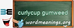 WordMeaning blackboard for curlycup gumweed